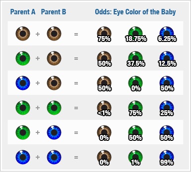 australian shepherd eye color chart