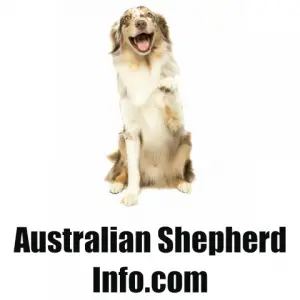 australian shepherd info logo